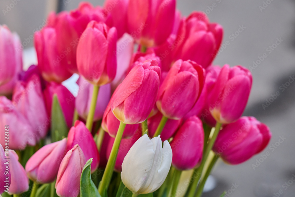 Obraz premium photo of a beautiful bouquet of tulips