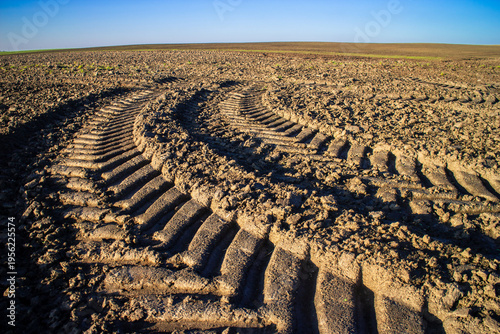 Tire tracks imprinted dry plowed soil leading across  expansive agricultural field under clear blue sky.