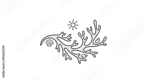 Hand-Drawn Coral Reef with Shells and Sun Illustration
