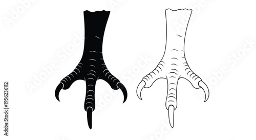 Two bird feet one dark and one light presented as a silhouette