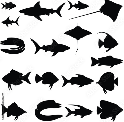 Diverse Collection of Silhouetted Marine Life and Aquatic Creatures
