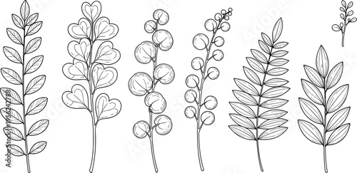 "Black and white botanical line art illustration featuring diverse plant stems with leaves and berries, perfect for design, decoration, nature studies, and educational artwork"