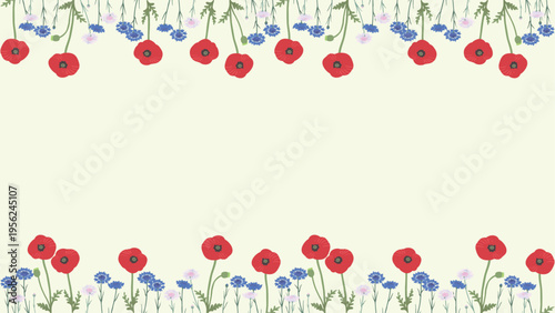 矢車菊とポピーの花フレーム背景（上下装飾）フラットベクター｜春夏のナチュラル花デザイン素材