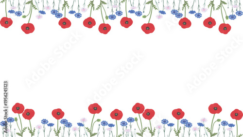 矢車菊とポピーの花フレーム（上下装飾）フラットベクター｜春夏のナチュラル花枠素材（背景透過）