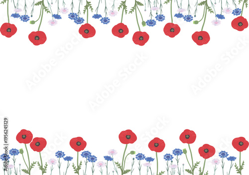 矢車菊とポピーの花フレーム（上下装飾）フラットベクター｜春夏のナチュラル花枠素材（背景透過）