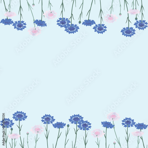 矢車菊の花フレーム背景（上下装飾・正方形）｜ナチュラル花のフラットベクター素材