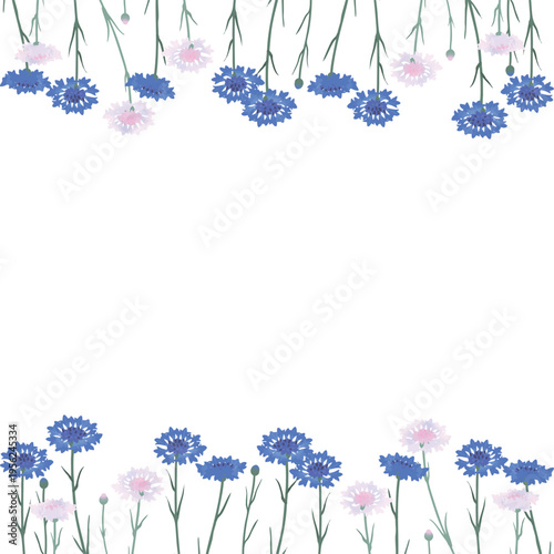 矢車菊の花フレーム（上下装飾・正方形）フラットベクター｜ナチュラル花枠素材（背景透過）