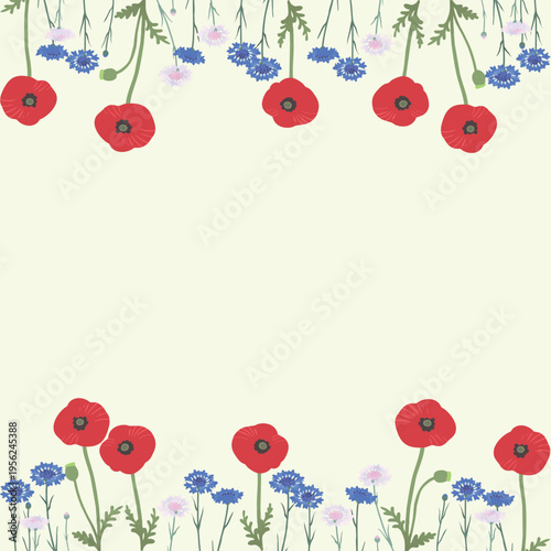 矢車菊とポピーの花フレーム背景（上下装飾）フラットベクター｜春夏のナチュラル花デザイン素材