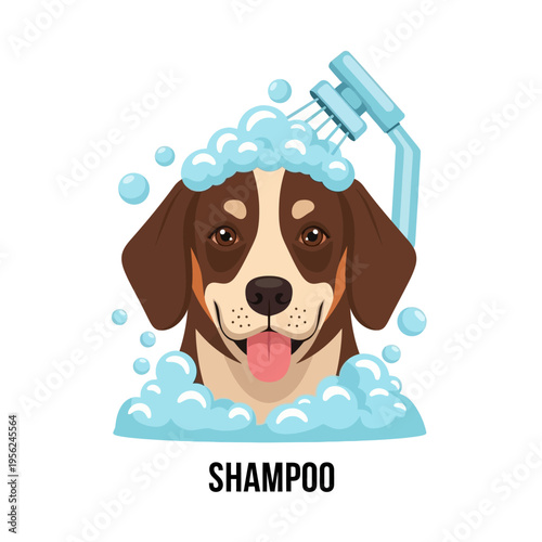 Happy dog getting a bubbly shampoo bath with shower head, isolated on white