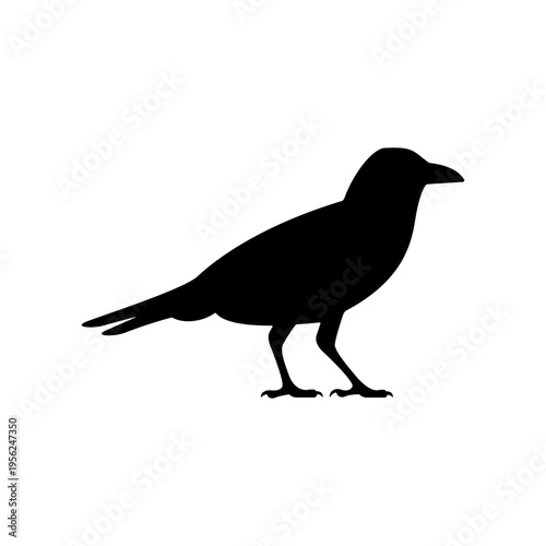 Black Silhouette of a Bird Standing.