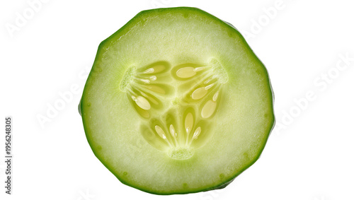 Isolated macro fresh green cucumber slice cross section revealing seeds inside