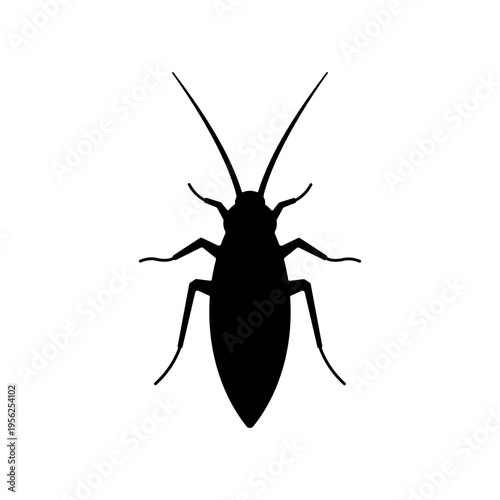 Black Silhouette of a Cockroach Insect.
