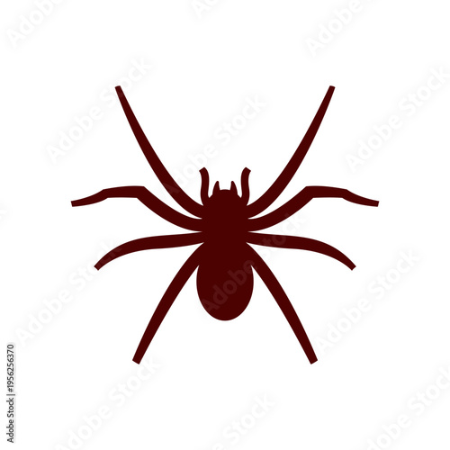 Black Spider Silhouette Isolated on White.