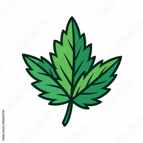 Vibrant green cannabis leaf illustration on white background for medical marijuana and wellness concepts