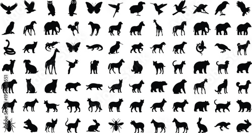 Large collection of wild and domestic animal silhouettes featuring mammals birds insects and reptiles for nature wildlife conservation education and graphic design elements isolated on white