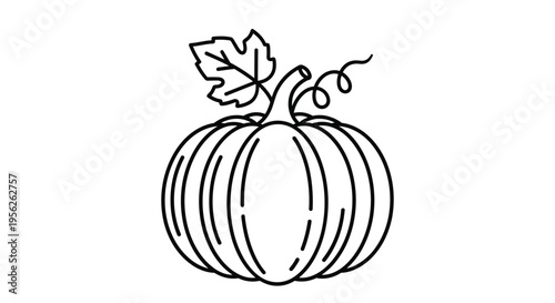 Minimalist line art drawing of a large pumpkin with a curly vine and a leaf suitable for autumn, Halloween, or Thanksgiving designs.