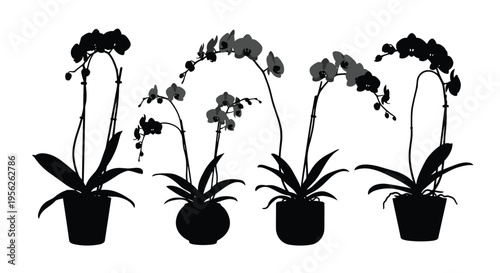 Silhouettes of beautiful orchid flowers in decorative pots are displayed in a row against a clean white background for botanical design.