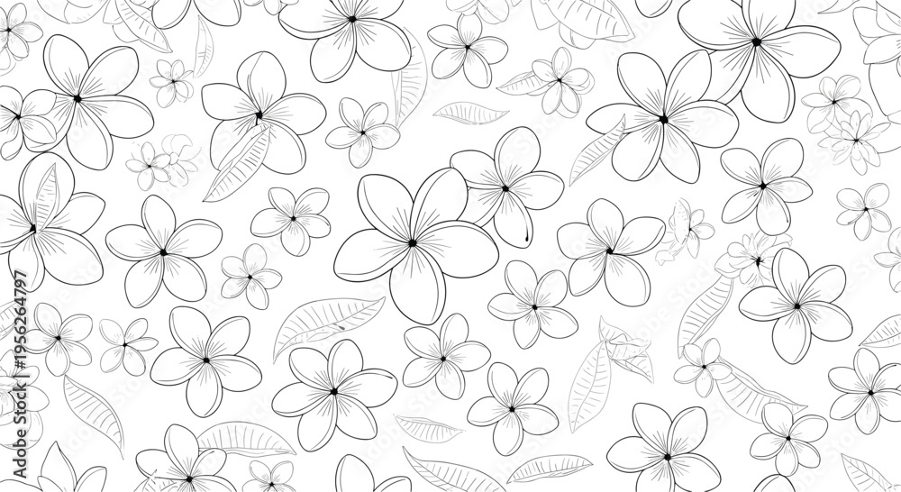Fototapeta premium Delicate black and white line art pattern featuring numerous plumeria flowers and leaves overlapping on a white background.