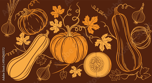Vintage line art drawing of various pumpkins, squashes, onions, and autumn leaves on a dark brown background.