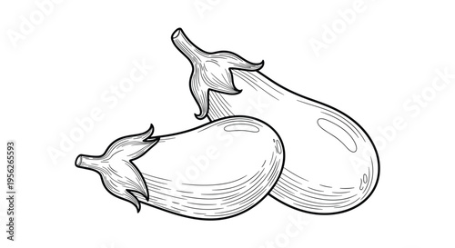 Detailed black and white line art illustration of two eggplants showing their stems and smooth textured skin surface.