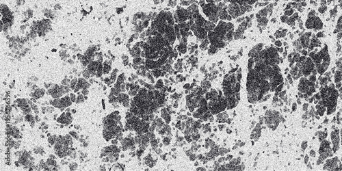 Abstract grayscale textured background resembling organic cellular structures or granular mineral deposits with irregular dark clusters and fine speckles creating a complex pattern