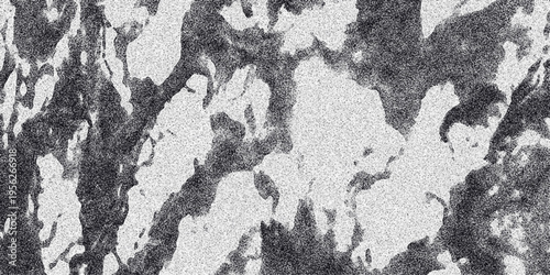 Abstract monochrome texture with organic, irregular shapes and a speckled surface, providing a unique and visually engaging background for artistic and design applications