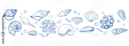 Blue seashells and starfish set sketch hand drawn seamless border coastal horizontal pattern. Summer vacation design elements for trendy prints, 
