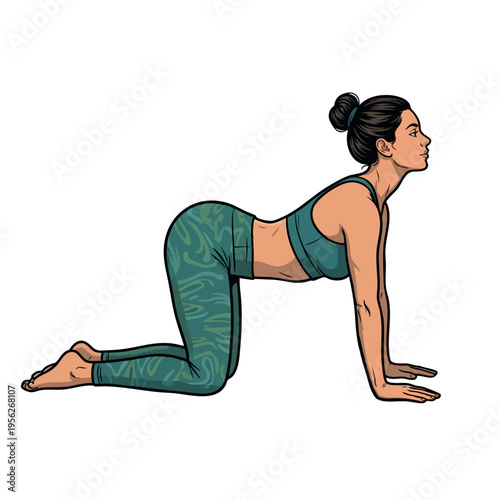 Woman doing cow pose yoga stretch comic book illustration. Marjaryasana Bitilasana