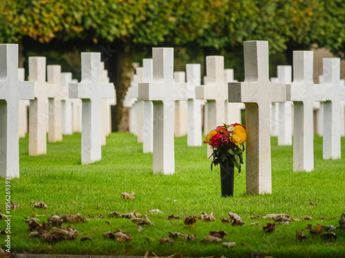 Crosses stand in a row as flowers sit at a grave in a cemetery where people remember their loved ones