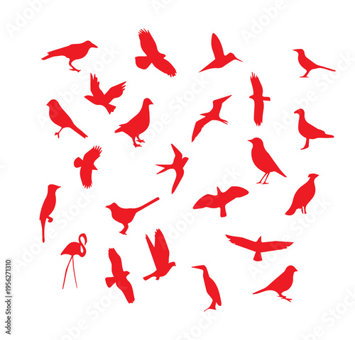 bird silhouettes Bird silhouettes vector set featuring songbirds