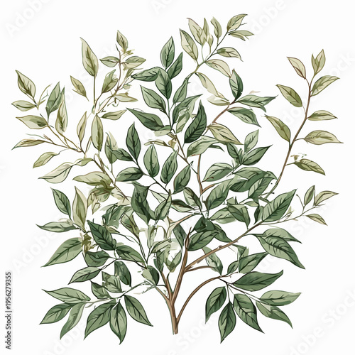 Nature Design Very Cool