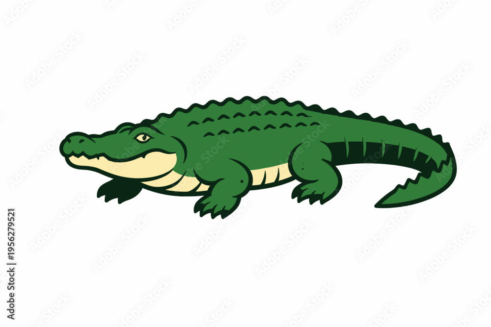 Fototapeta premium A cartoon green crocodile with a white underbelly and yellow eye on a white background