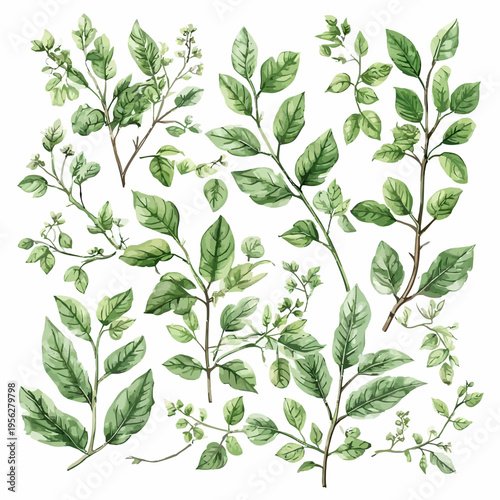 Nature Design Very Cool