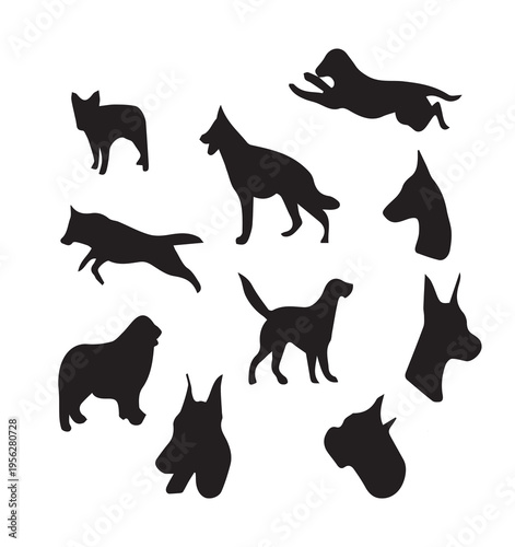 Bird Silhouettes Vector Set