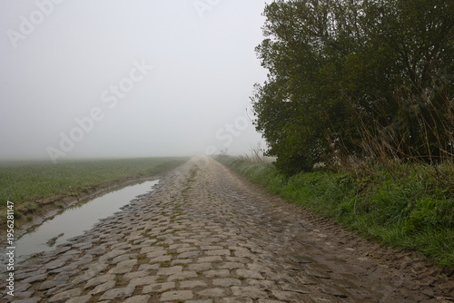route en pavé emprunté par la course cycliste du paris Roubaix avec du brouillard secteur de l arbre