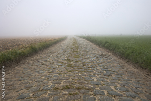 route en pavé emprunté par la course cycliste du paris Roubaix avec du brouillard secteur de l arbre