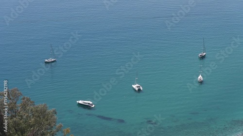 White sailboats and catamarans rest at anchor on calm clear blue sea near shore, with a leafy tree at the frame edge in summer sun.