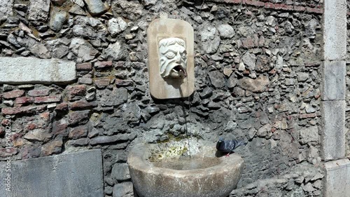 A pigeon bathes and flutters in a historic stone basin as water pours from a carved male face, then flies away in bright midday sun.