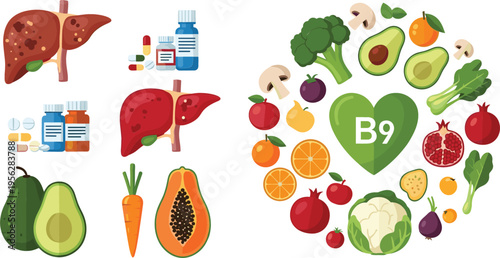 Vitamin B9 Folate Rich Foods Set with Liver Vegetables Fruits and Supplements Flat Vector Illustration Collection for Healthy Nutrition Concept