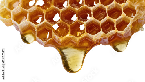 Konstfotografi Isolated natural raw golden dripping honey comb with sweet healthy dessert and s