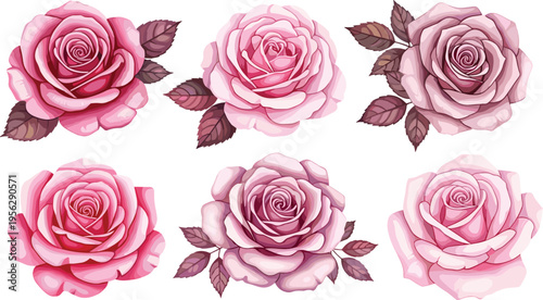 Rose bloom variety set. Soft pink and dusty tones with detailed petals and leaves. Elegant floral elements for wedding design, branding, and romantic compositions.