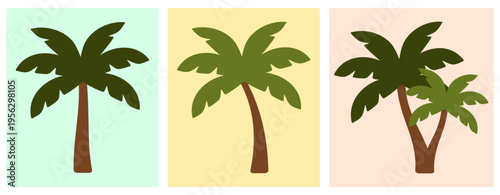 Zestaw drzew palmowych