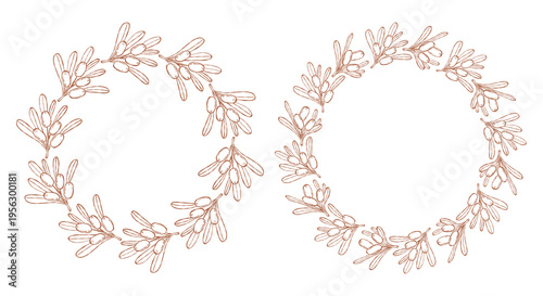Sea Buckthorn Circular Wreath Set. Line Art Botanical Round Frame with Branch Berries and Leaves with Empty Copy Space. Isolated Outline hand-drawn Template on White. Vector illustration