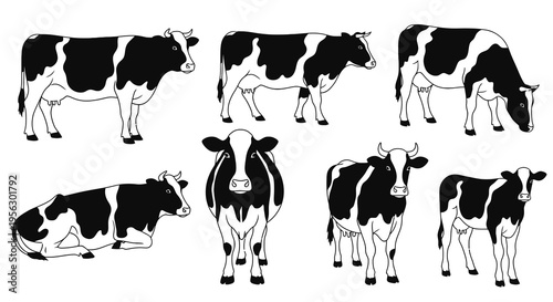 Black and white dairy cow silhouette set flat vector illustration with standing grazing resting and front view poses isolated on white background
