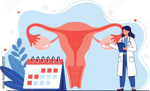 Illustration of a doctor next to a uterus model, symbolizing women's health, reproductive system, and menstrual cycle management
