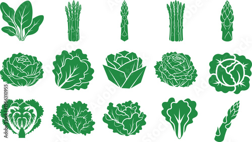 Assorted green vegetable illustrations including lettuce and asparagus designs