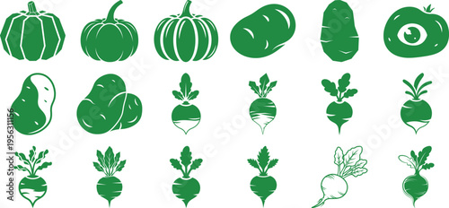 Assorted green vegetables and pumpkins illustration set isolated on transparent background