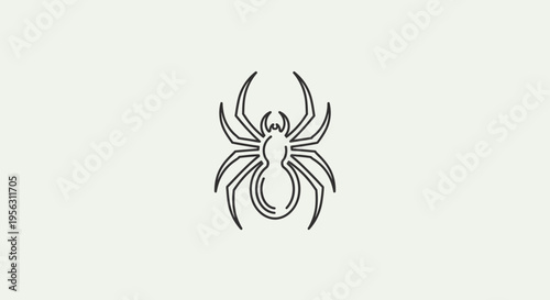Black and White Spider Illustration Design.