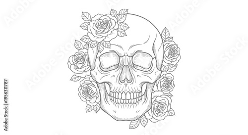 Detailed Line Art Skull with Floral Decor.