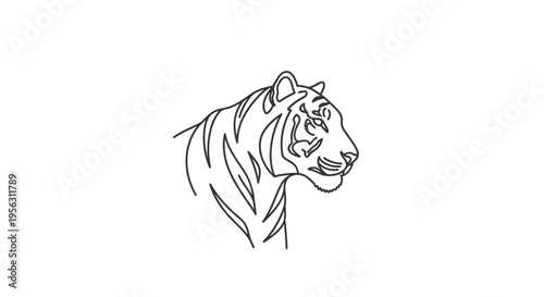 Detailed Tiger Head Line Art Illustration.